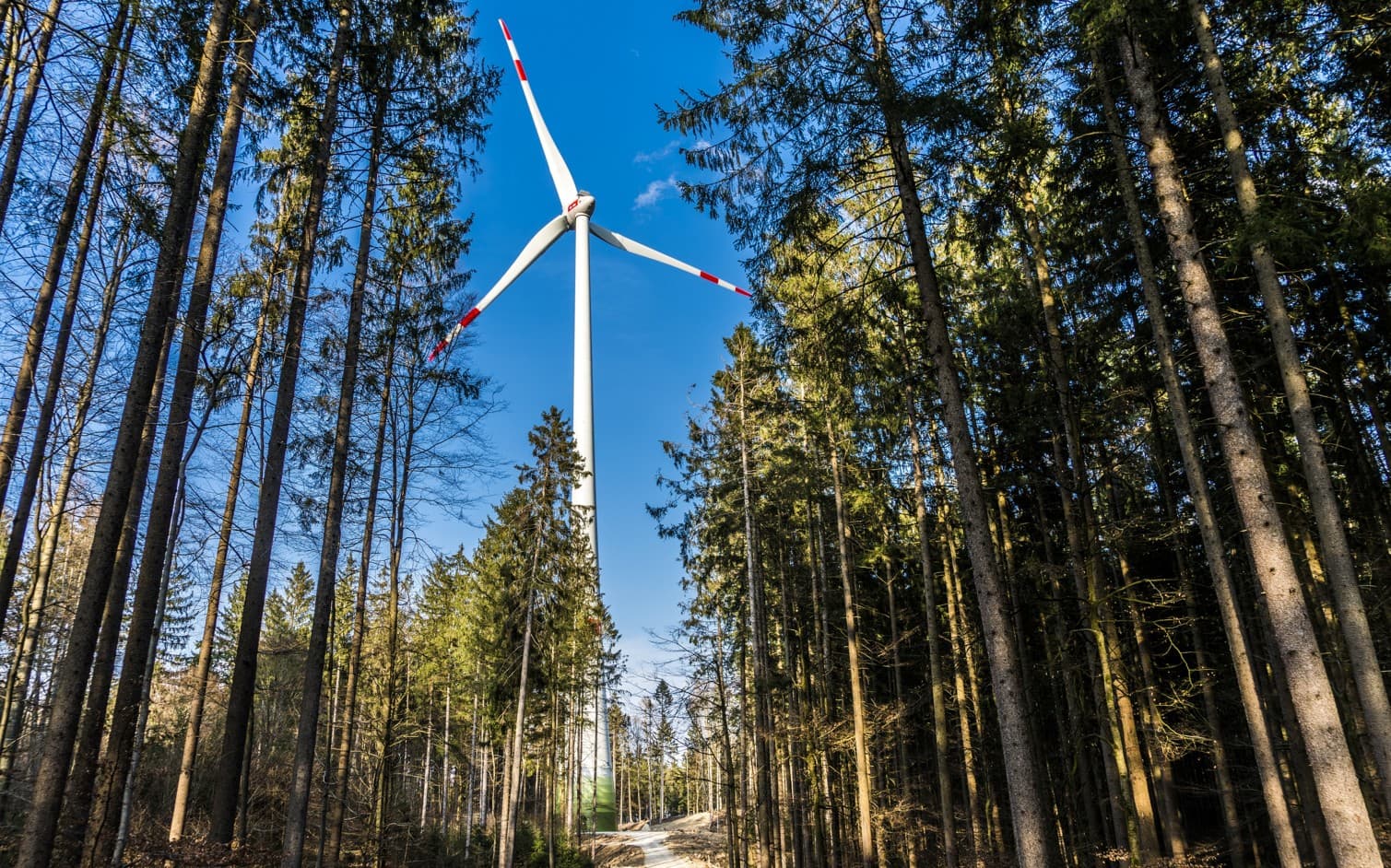 Vindkraftverk i skogen