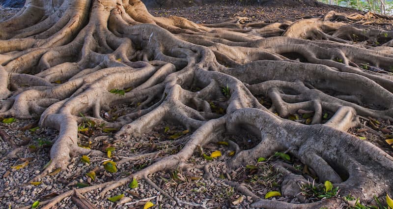 Om Termiska energilager.jpg