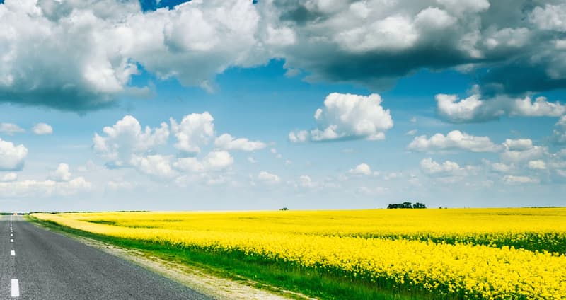 Mål och innehåll Biodrivmedel.jpg