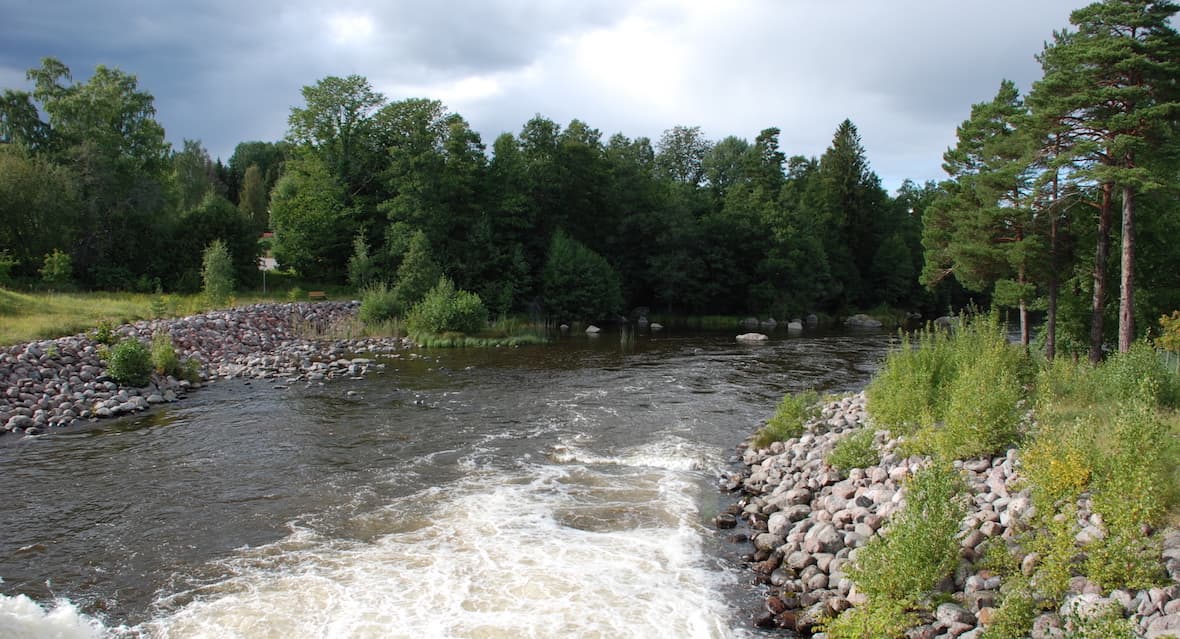 Kraft och liv i vatten