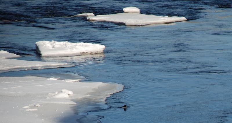 Dammsäkerhet projekt