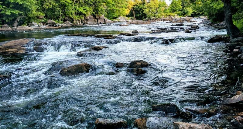 Turbine Passage Study For Fish In Sweden
