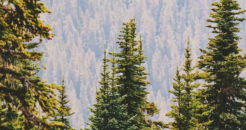 Webbinarium, GK, 26 April