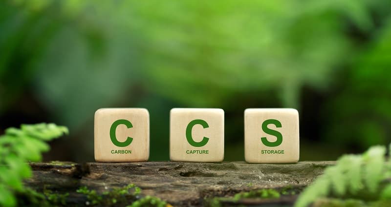 CCS Adobe Stock