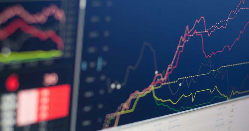 Bild Till Webben 2024 1035