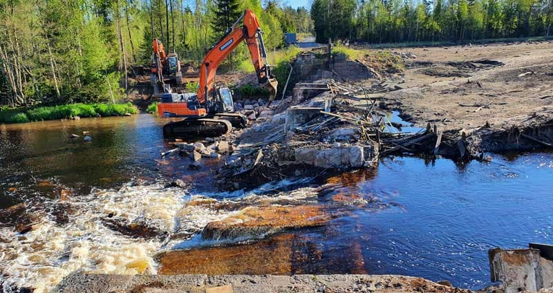 Bild Till Webben 2024 1041