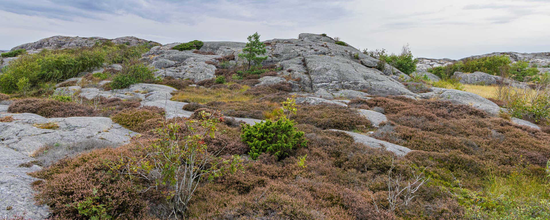 Långtidstester av värmelagring i berggrunden