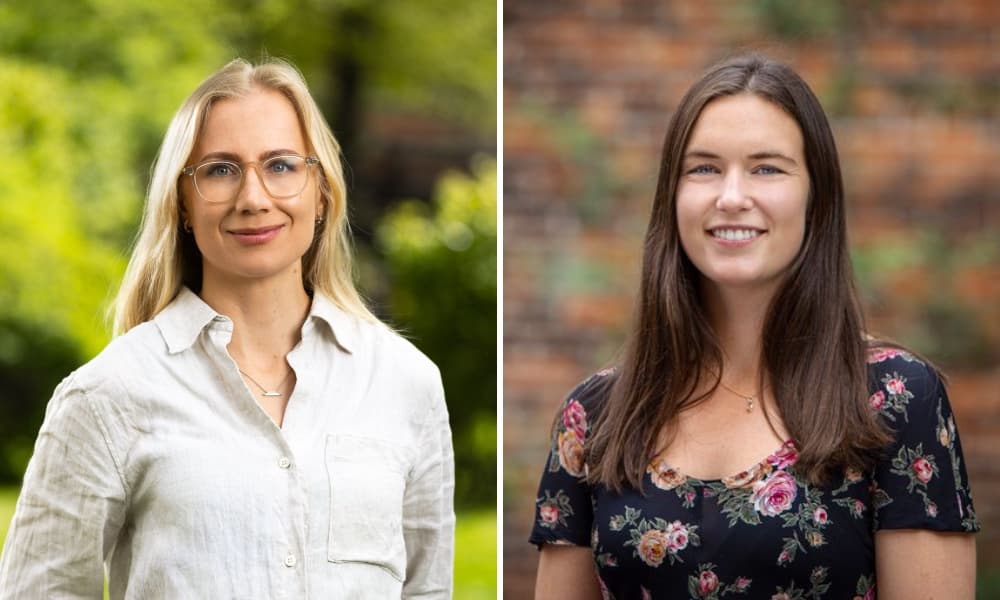 Så kan vätgasens roll i energisystemet se ut – beroende på utvecklingsväg