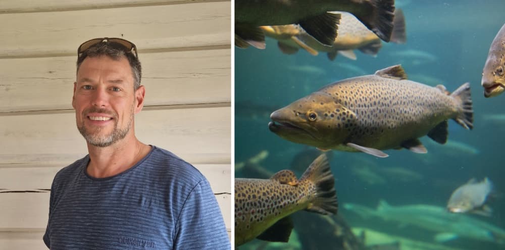 Lunchwebbinarium 29/5