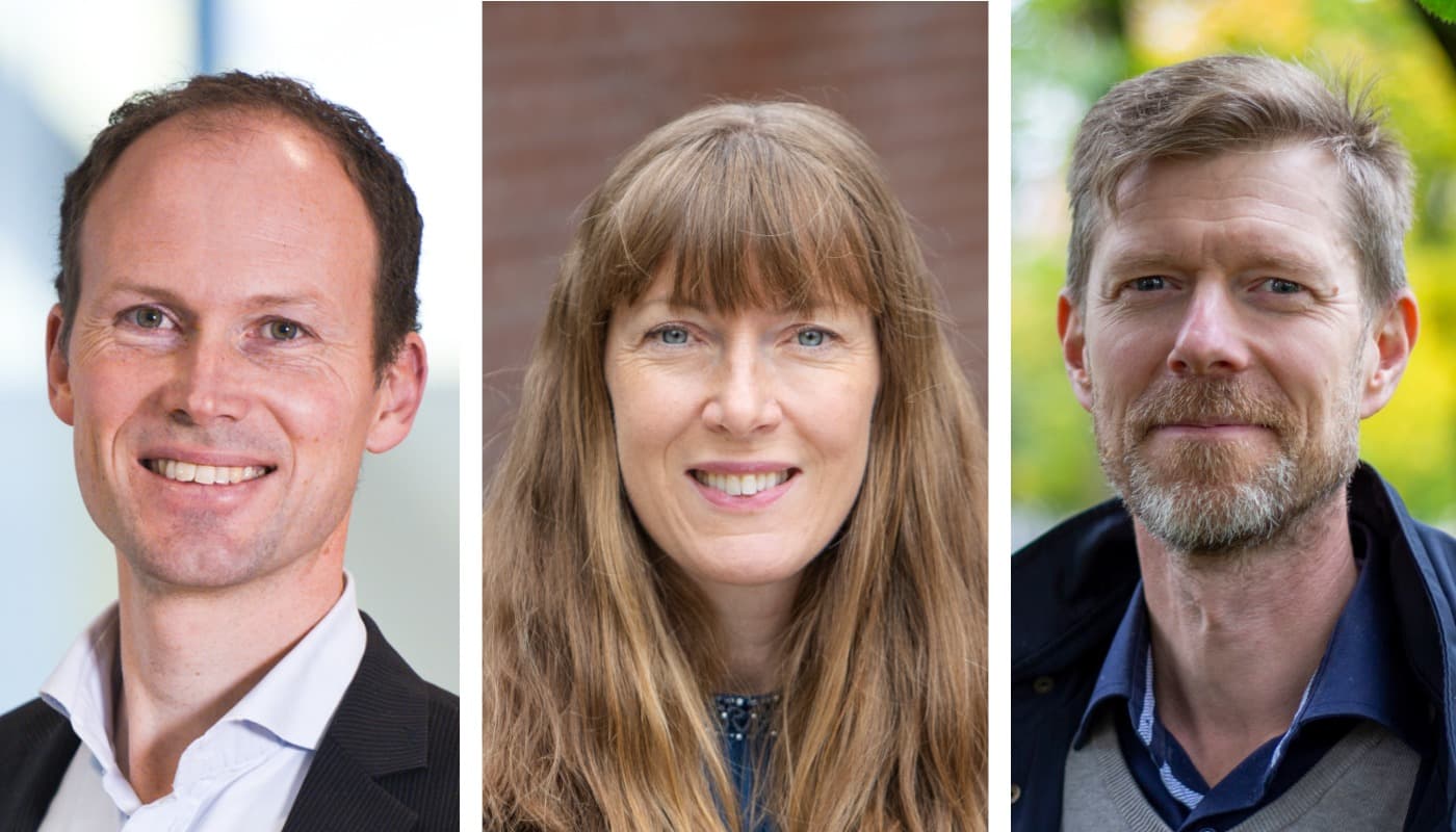 Martin Vallstrand Jenny Westerberg Erik Lindblom