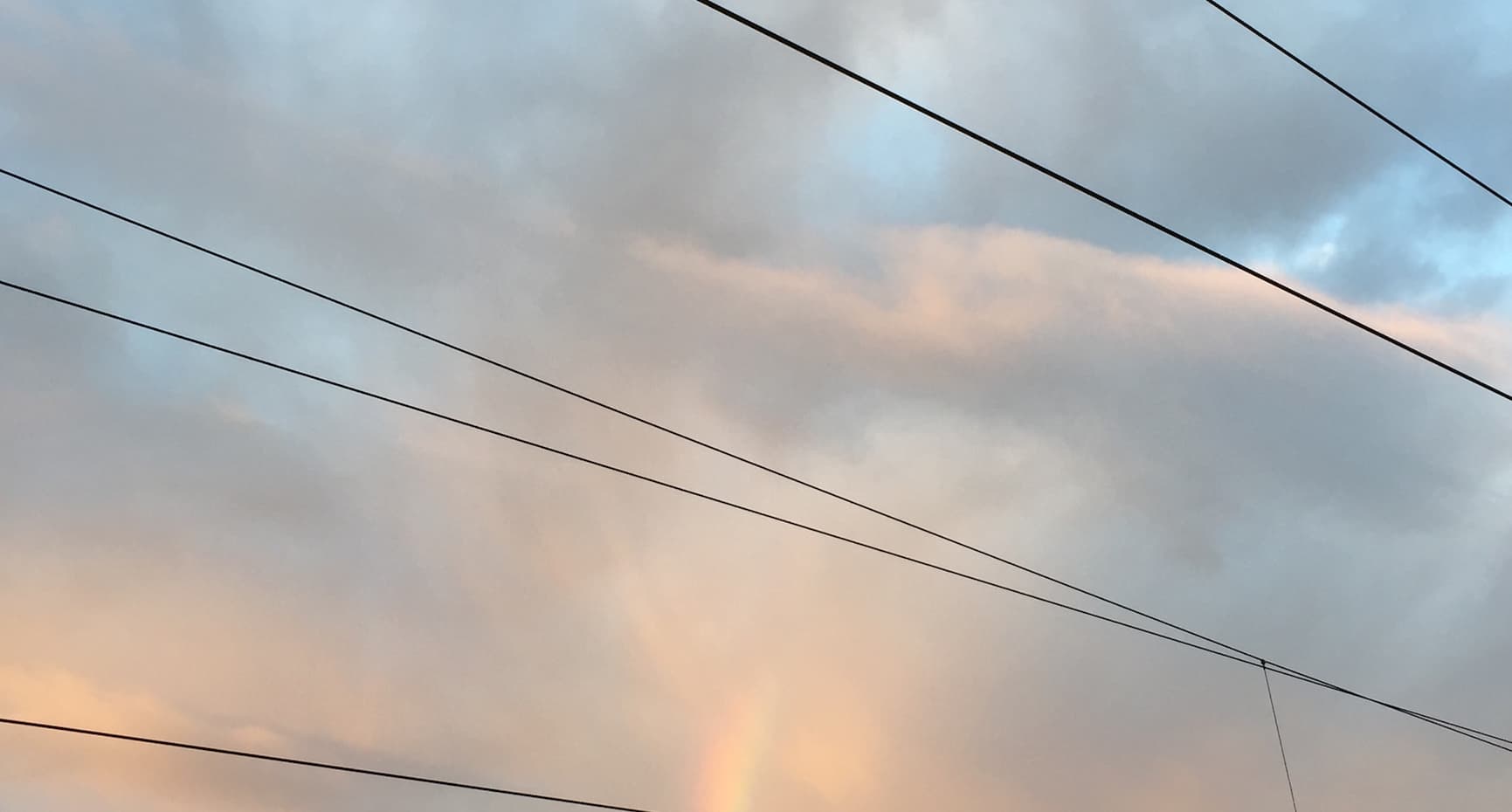 Underhåll av elnät