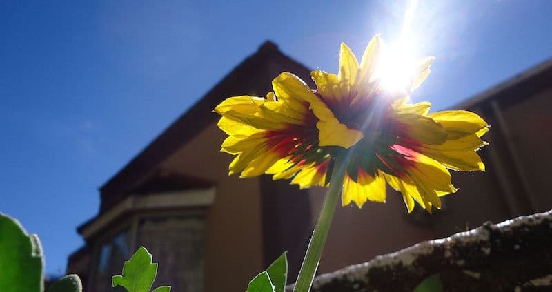 Ny solkarta behövs.jpg