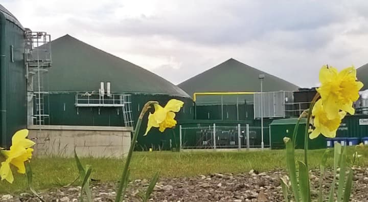anaerobic digestion_web.jpg