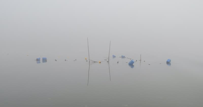 Åtgärder kraftag ål