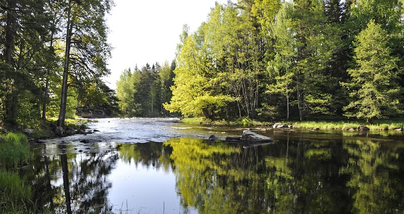 Vattenkraftens FoU 2021