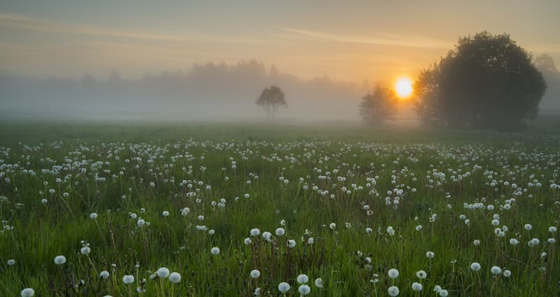 Gasinfrastrukturens roll