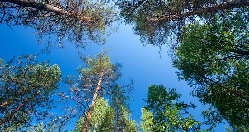 Värmeklustrets andra period