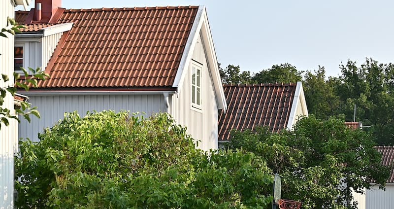 Forskningsområden