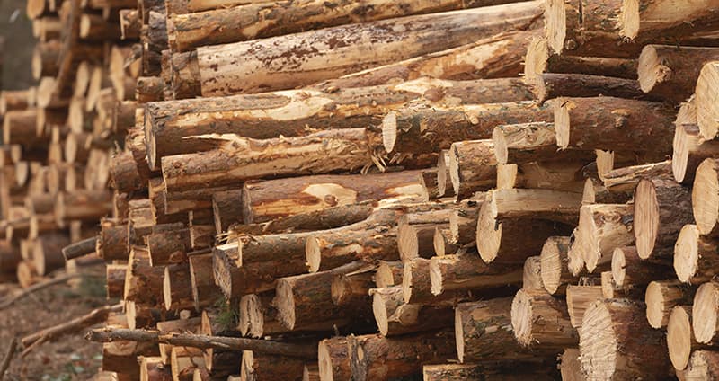 Maskininlärning Massabruk