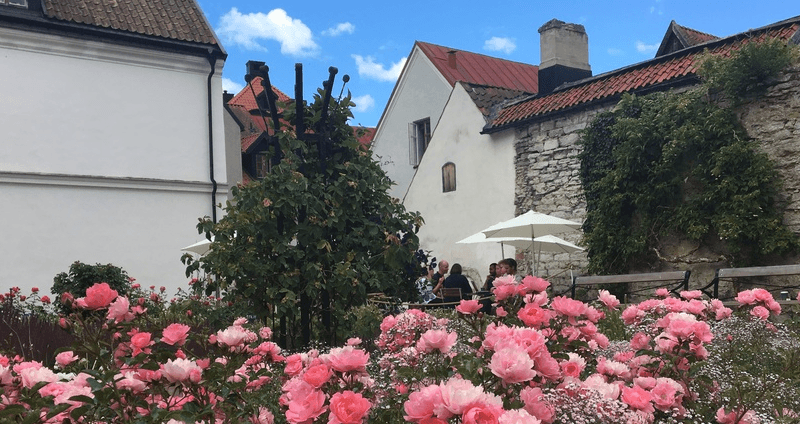 Almedalen, Fotograf Elin Nysten