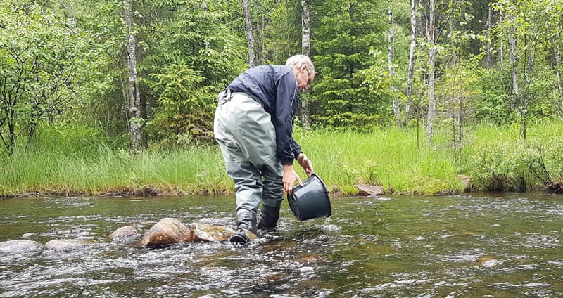 Johnny Norrgård, Gammelkroppa Lax (Kopia)