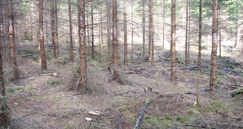 Rapportbild, askåterföring