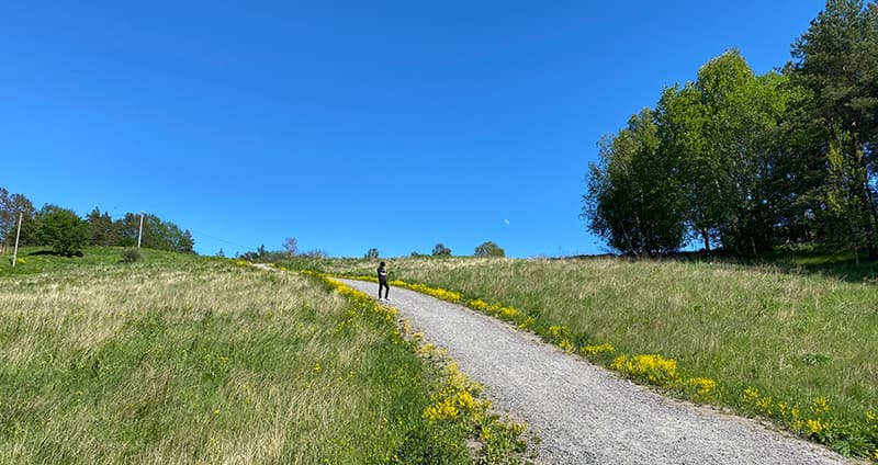 2023 278 Miljöprodukter