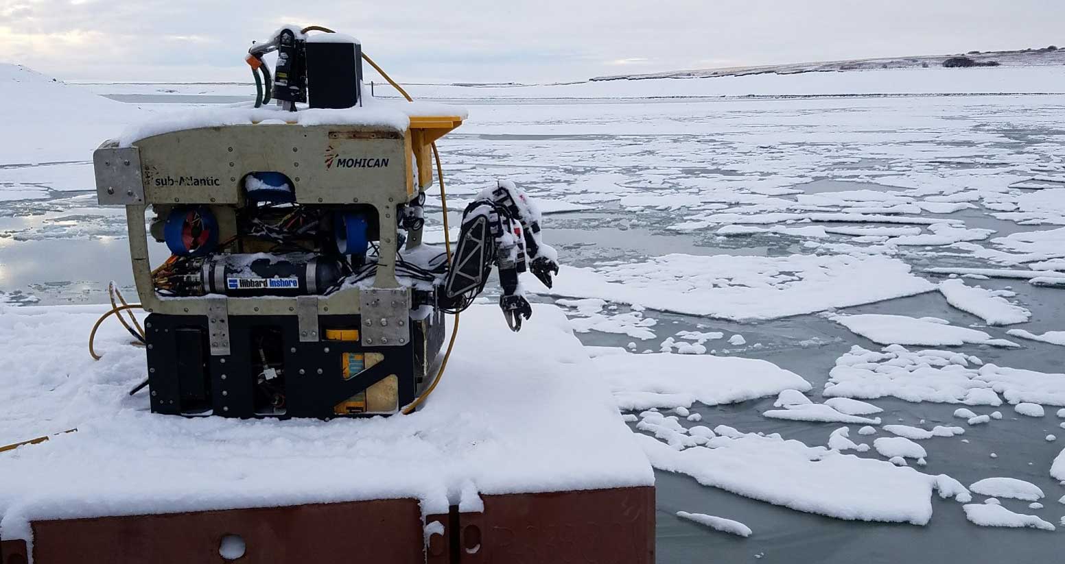 Bild Till Webben (1)