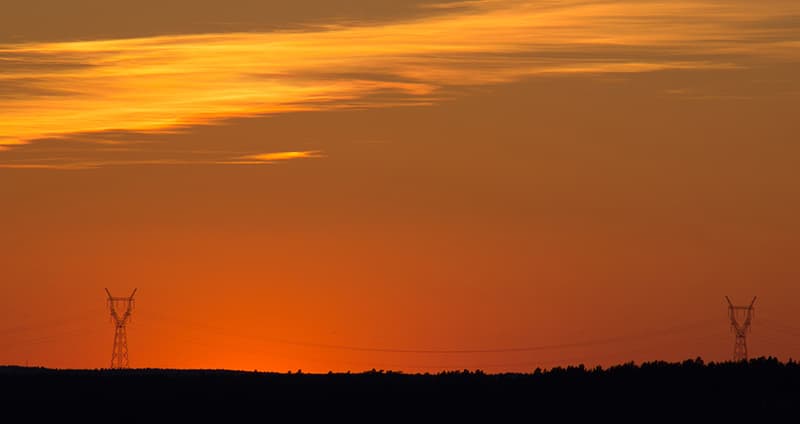 Bild Webben 2024 1034