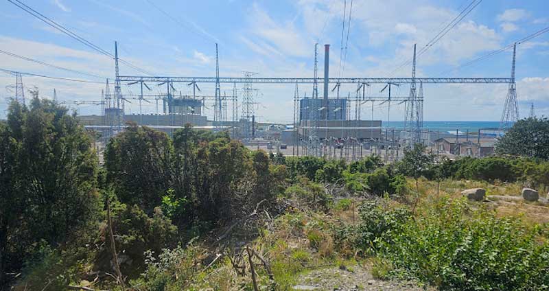 Bild Till Webben 2024 1047