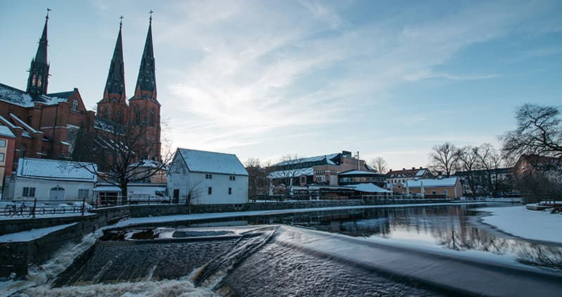 Fou Dagar Energiforsks Webb