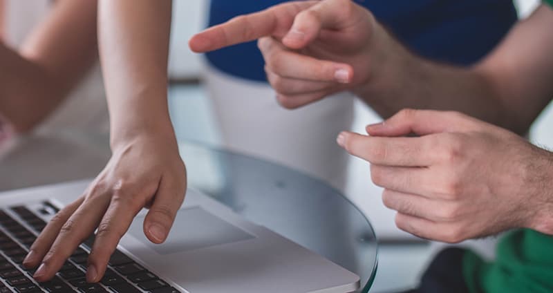 Bild Webben 2024 1067