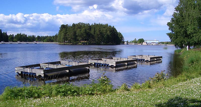 Bild Webben 2025 1081