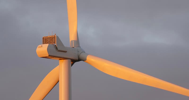 Bild Webben 2025 1078