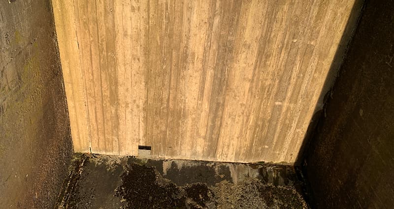 Bild Webben 2025 1077