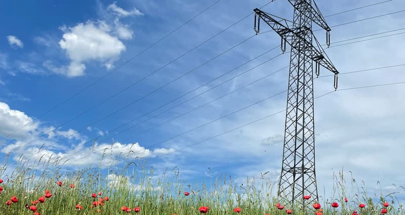 Bild Till Webben, 2025 1069