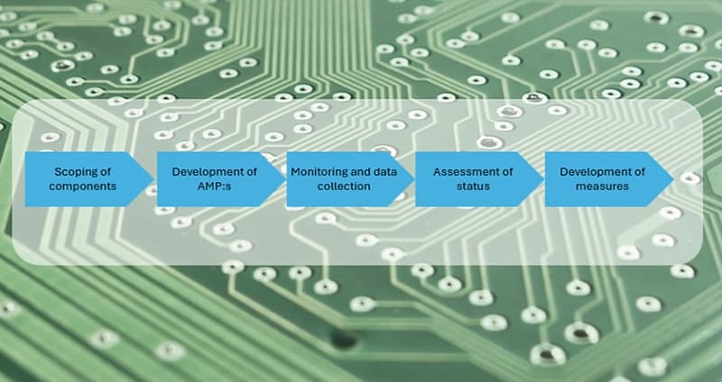 Bild till webben 2025-1114