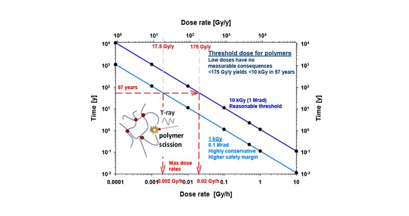 Bild till webben 2025-1106