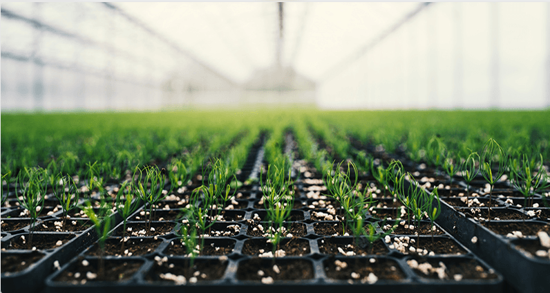 Skärmavbild 2025-09-02 kl. 18.26.40.png