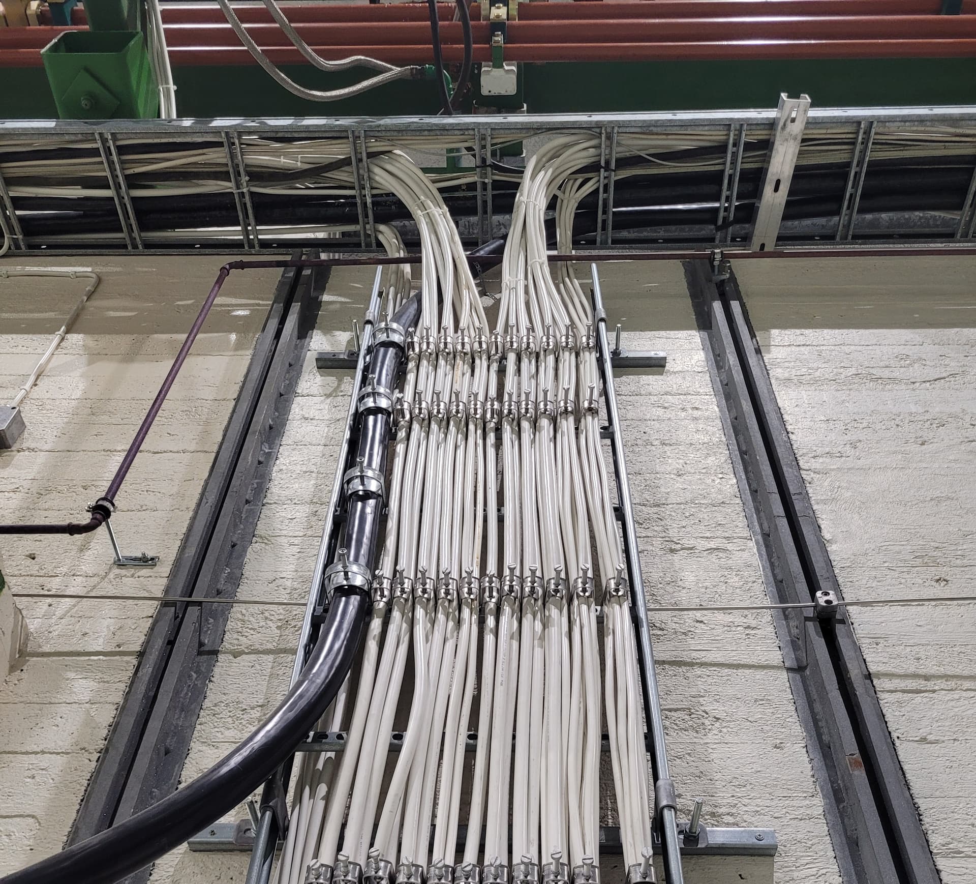 Bild till webben 2025-1124