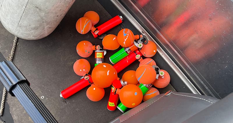 Bild till webben 2025-1104