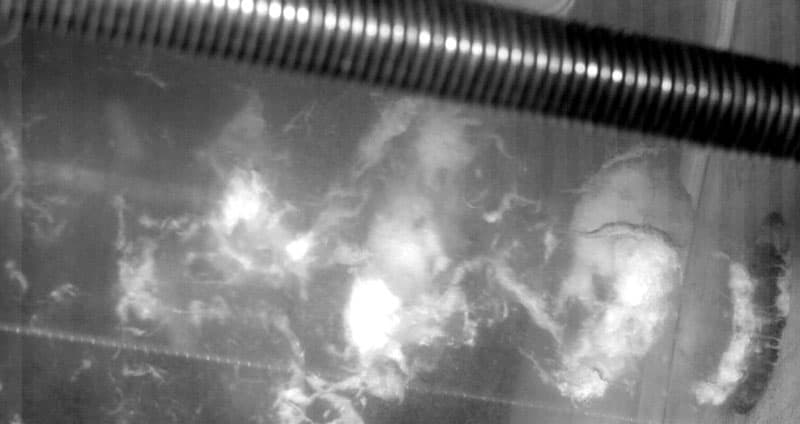 Bild till webben 2025-1105