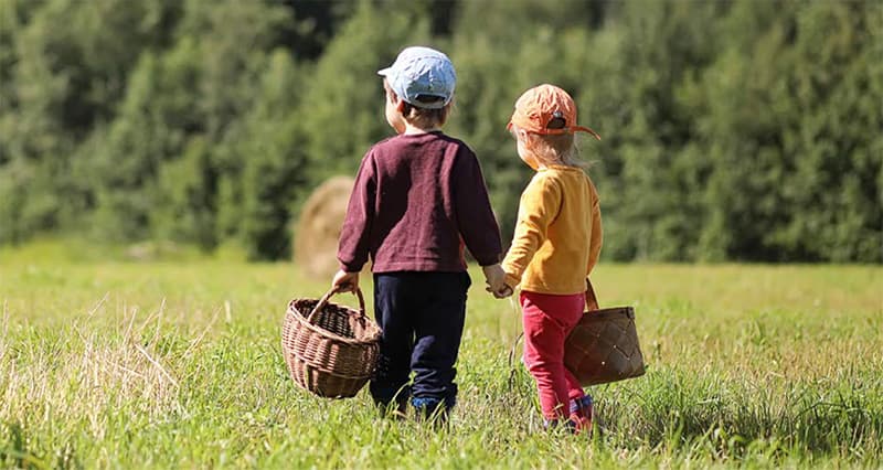 2025-1055 Rapportbild