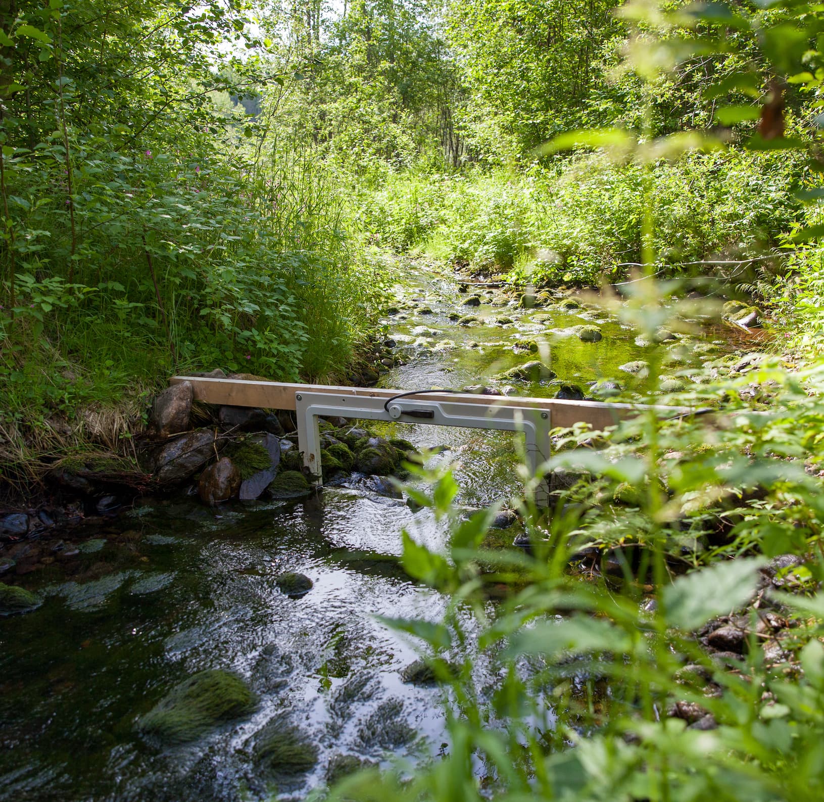 Bild till webben 2025-1103