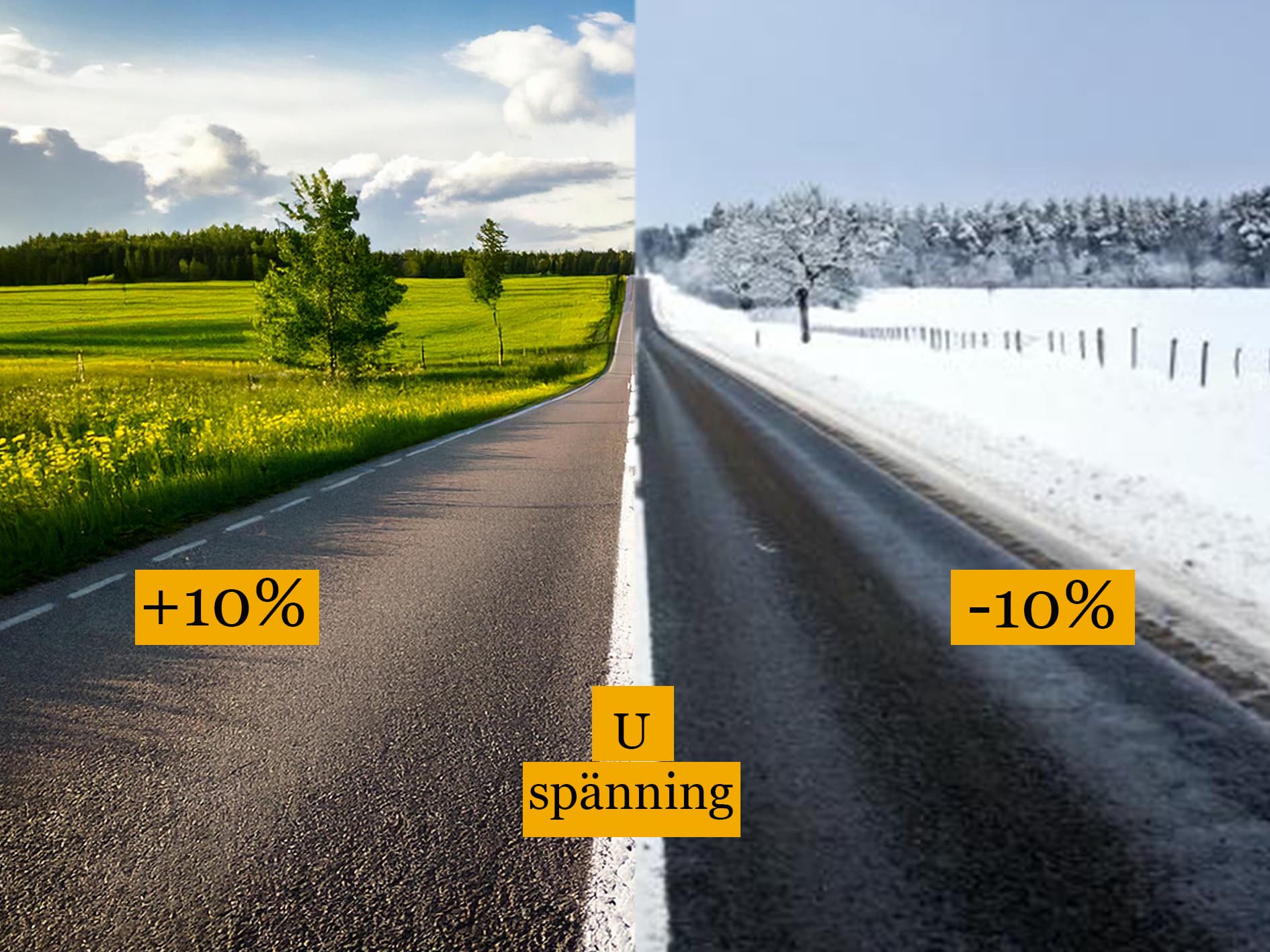 Bild till webben 2025-1115