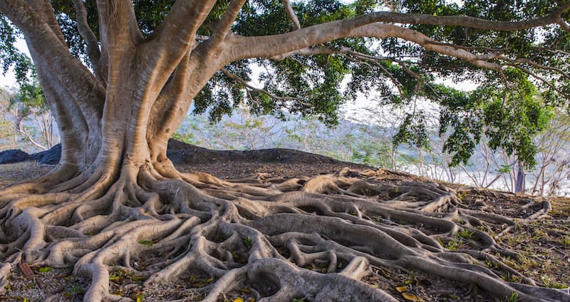 Termiska energilager