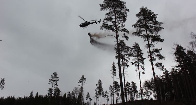 Senaste nytt om askor