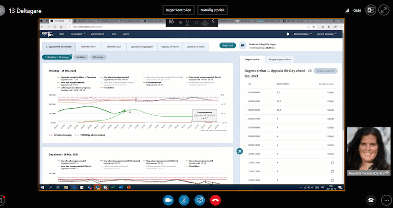 Plattformen i den svenska Coordinet demon