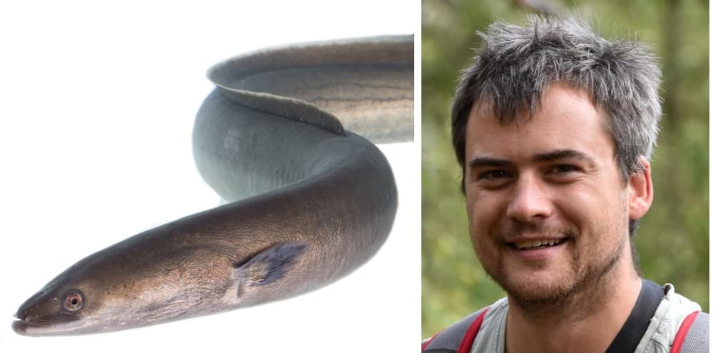 27 mars Lunchwebbinarum