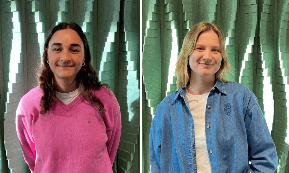 Webbinairum med Julia Johansson och Nikesh Harari från Sweco.png